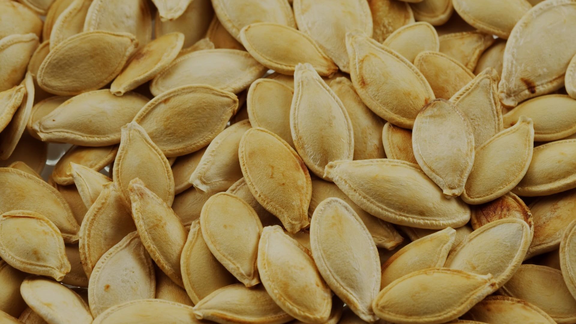 seeds11